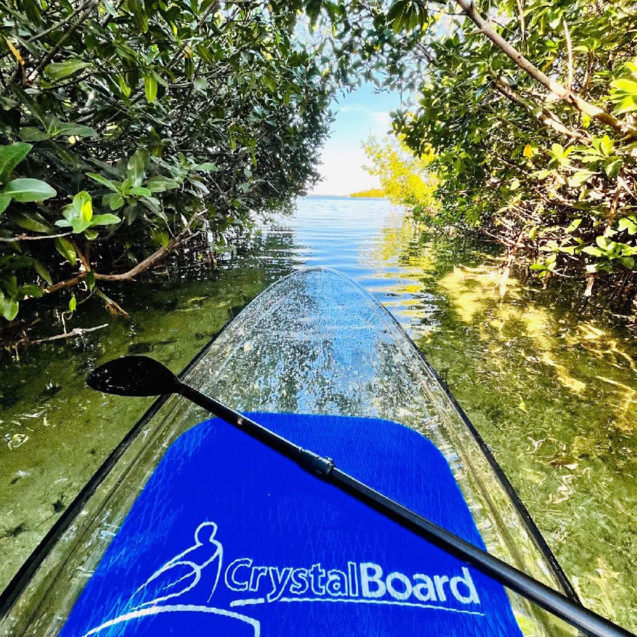 Crystal Kayak Premium 1-Person Outdoor Clear Transparent SUP With Paddle, 11FT (SAK37248) - Image 5