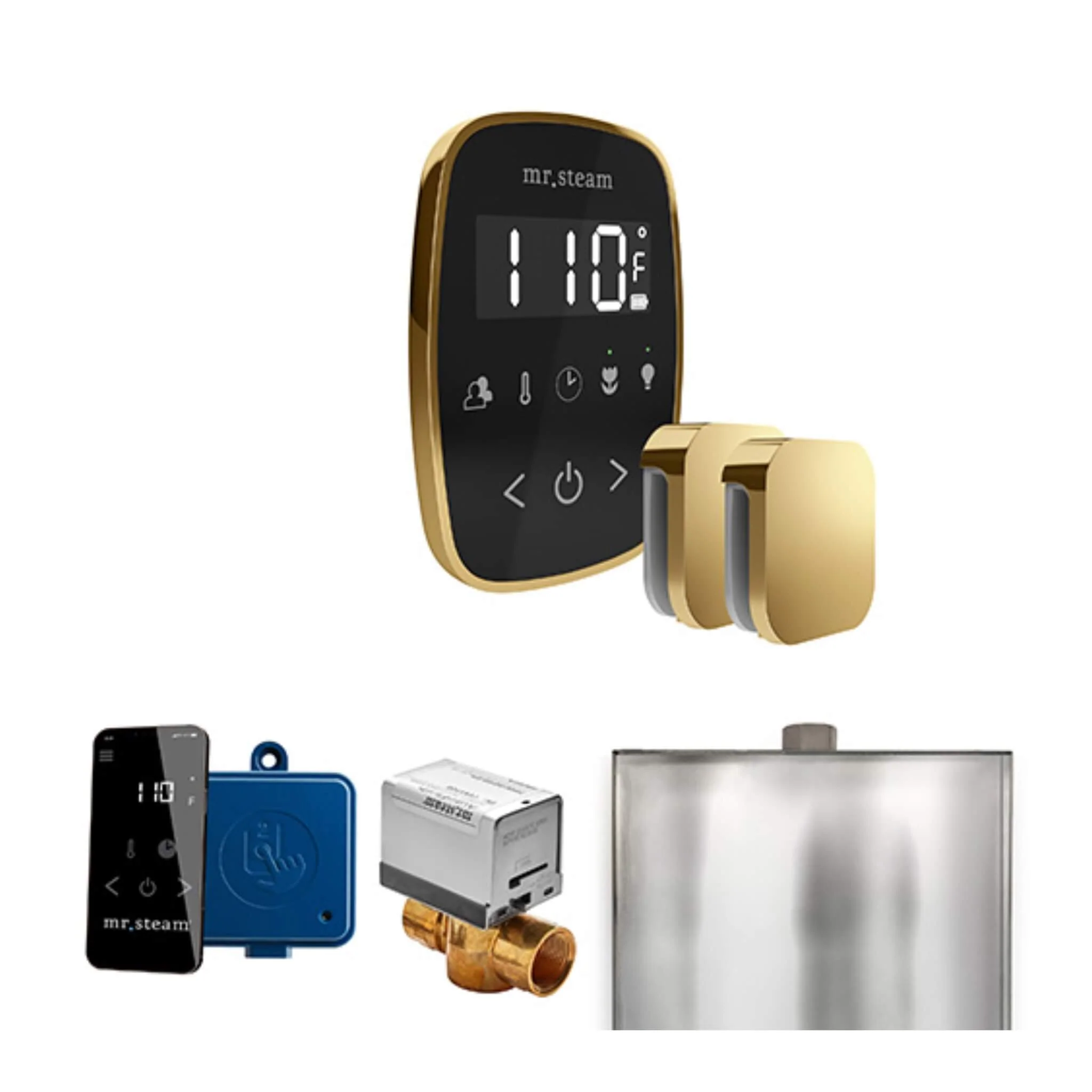 Mr.Steam ButlerFlex Steam Shower Control Package W/ TempoFlex Control & Aroma SteamHeads (SAK92375) - Image 16