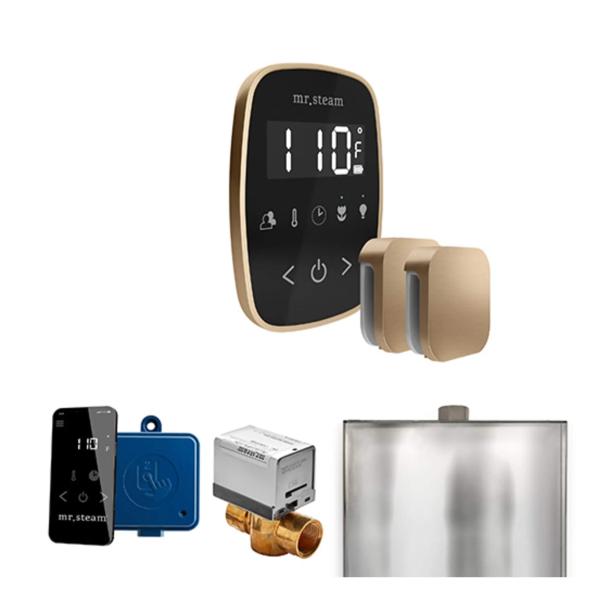 Mr.Steam ButlerFlex Steam Shower Control Package W/ TempoFlex Control & Aroma SteamHeads (SAK92375) - Image 4