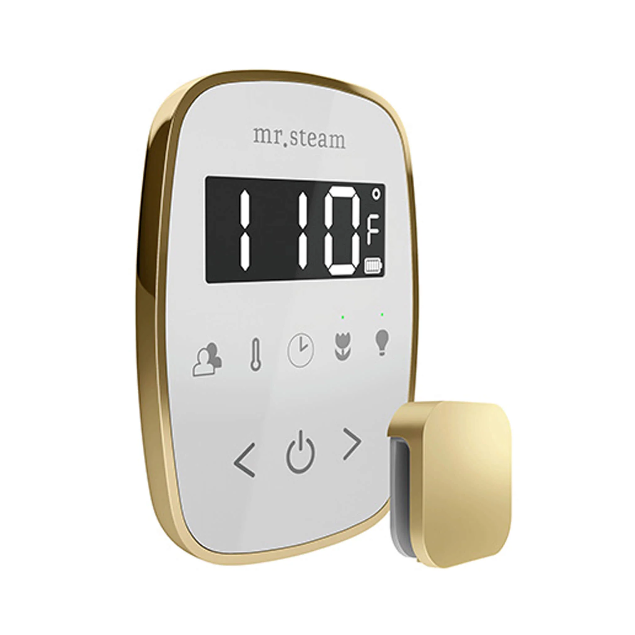 Mr.Steam TempoFlex Steam Shower Control With Aroma SteamHead (SAK62841) - Image 21