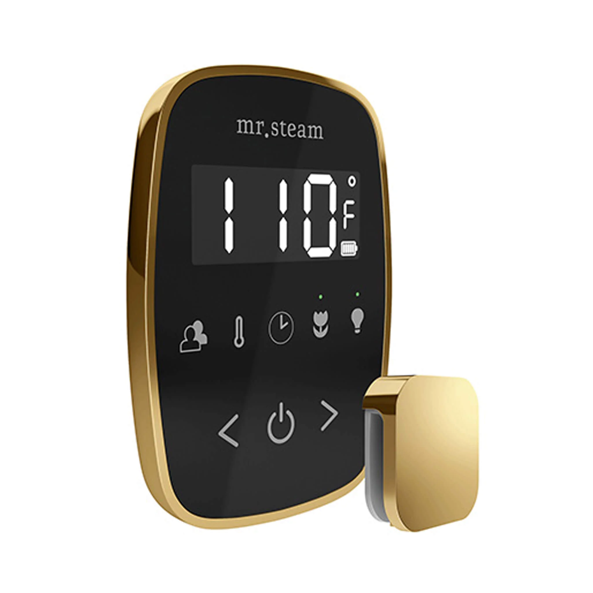 Mr.Steam TempoFlex Steam Shower Control With Aroma SteamHead (SAK62841) - Image 26